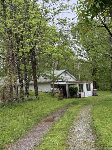 199 R B K Ln, Bethpage, TN 37022