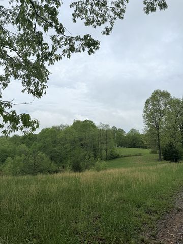 199 R B K Ln, Bethpage, TN 37022