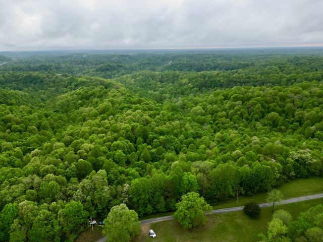 199 R B K Ln, Bethpage, TN 37022