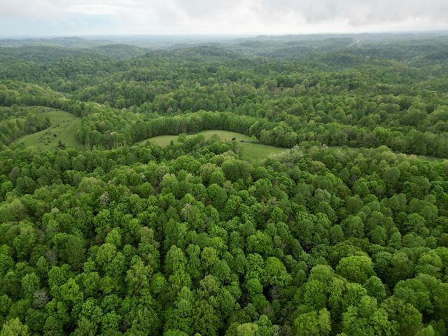 199 R B K Ln, Bethpage, TN 37022