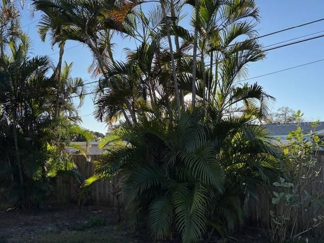 7440 1ST STREET N, St Petersburg, FL 33702