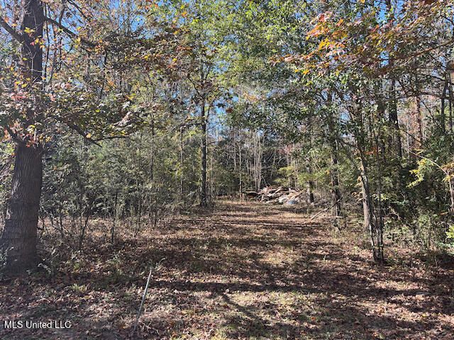 155 Sonnys Road, Madison, MS 39110