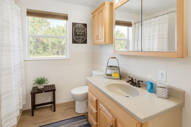 21135 PECKHAM AVENUE, Mount Dora, FL 32757