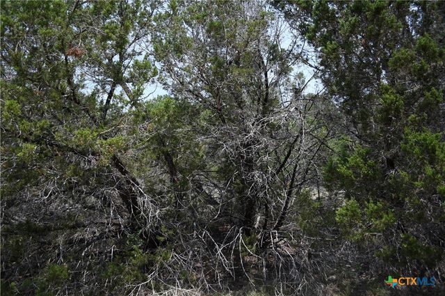 135 Agarita Drive, Spring Branch, TX 78070