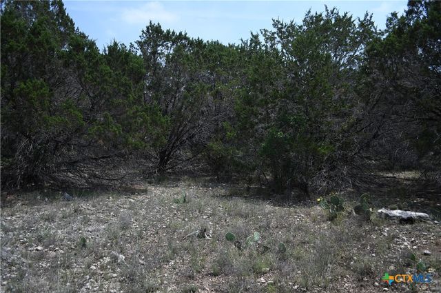 135 Agarita Drive, Spring Branch, TX 78070