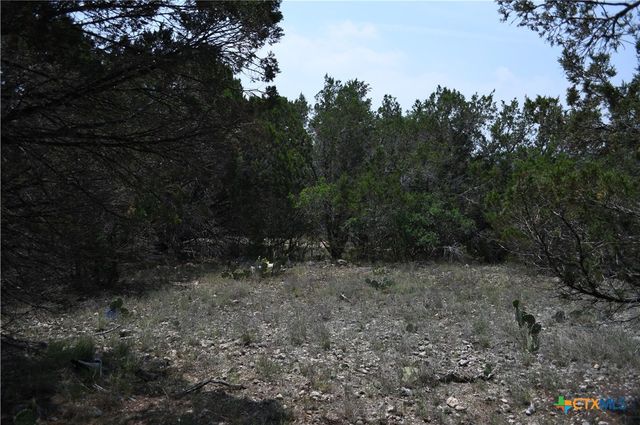 135 Agarita Drive, Spring Branch, TX 78070