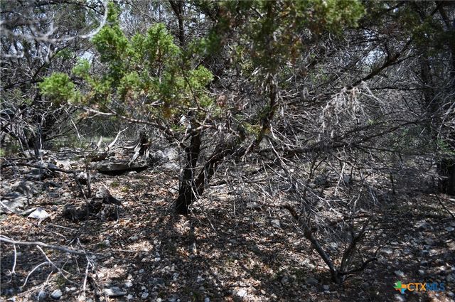 135 Agarita Drive, Spring Branch, TX 78070