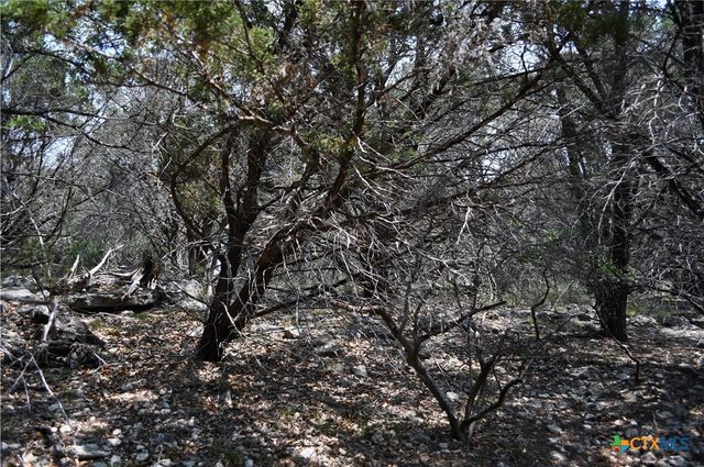 135 Agarita Drive, Spring Branch, TX 78070