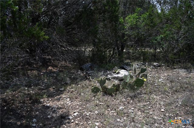 135 Agarita Drive, Spring Branch, TX 78070