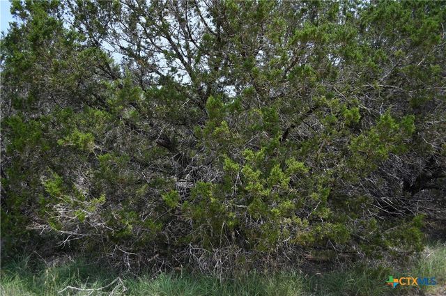 135 Agarita Drive, Spring Branch, TX 78070