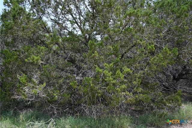 135 Agarita Drive, Spring Branch, TX 78070