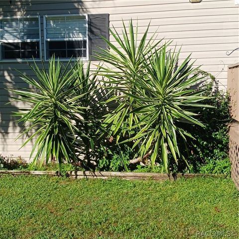 2430 S Wakulla Point, Homosassa, FL 34448