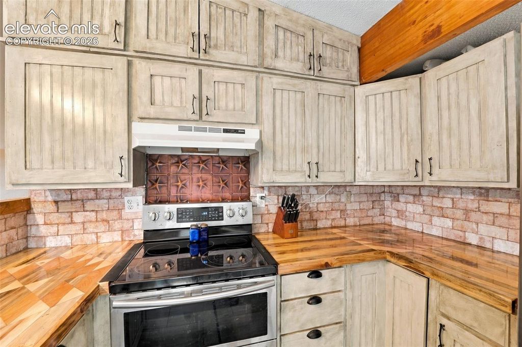 317 Trapper Lane, Fountain, CO 80817 — photo 5