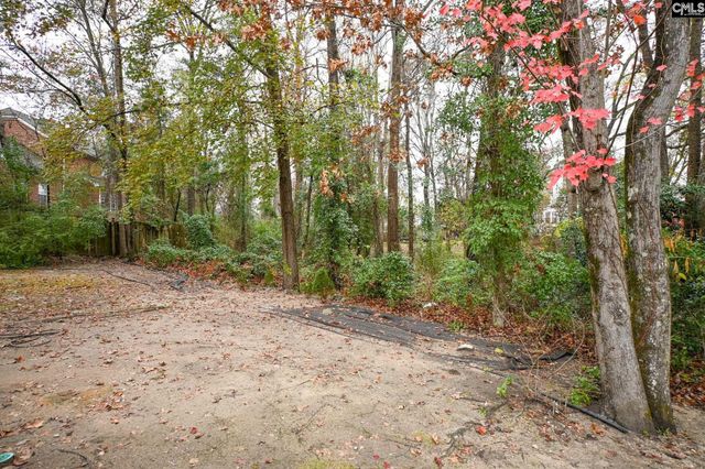 412 Mana Vista Court, Lexington, SC 29072