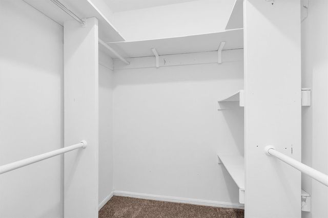 23014 Berry Pine Drive, Spring, TX 77373