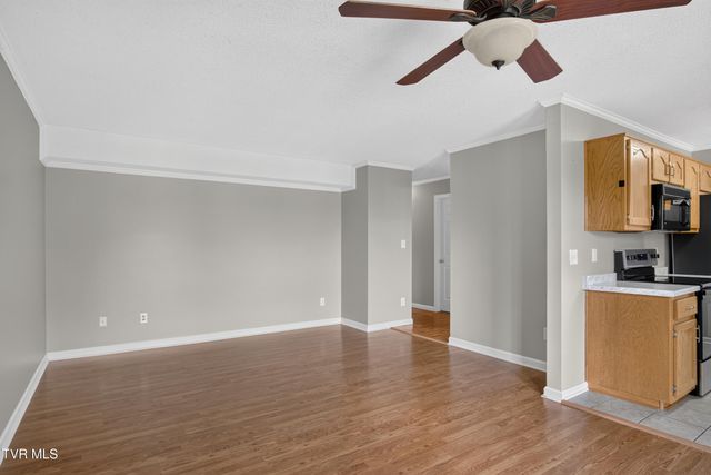 308 Car-Mol Drive 1, Johnson City, TN 37601