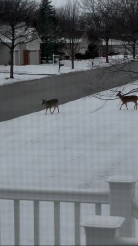 12597 Oak Grove Drive, Huntley, IL 60142