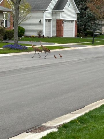 12597 Oak Grove Drive, Huntley, IL 60142