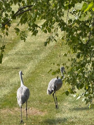 12597 Oak Grove Drive, Huntley, IL 60142