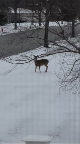 12597 Oak Grove Drive, Huntley, IL 60142