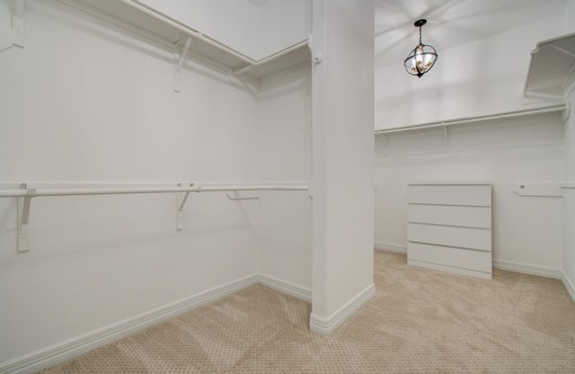 206 Cedar Creek Court, Pinehurst, TX 77362