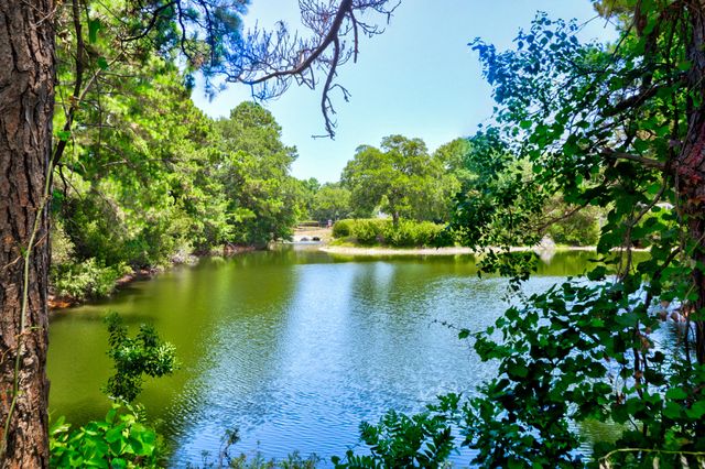 1406 Diamond Boulevard, Mount Pleasant, SC 29466