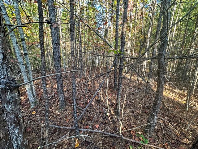 0 Dones Drive, Murphy, NC 28906