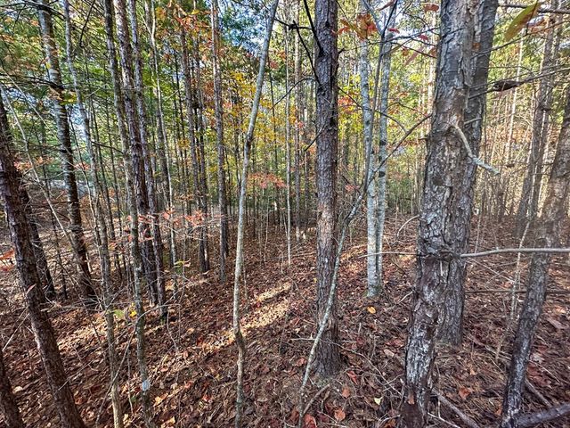 0 Dones Drive, Murphy, NC 28906
