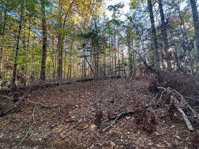 0 Dones Drive, Murphy, NC 28906