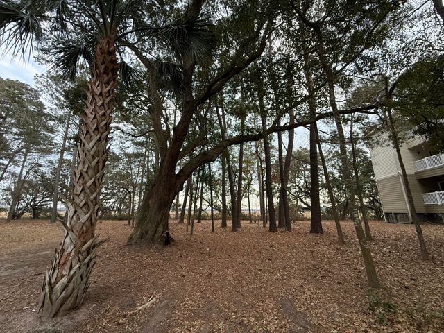 700 Daniel Ellis Drive 7208, Charleston, SC 29412