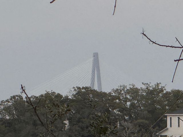 700 Daniel Ellis Drive 7208, Charleston, SC 29412