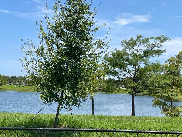 12625 88TH Place N, The Acreage, FL 33412