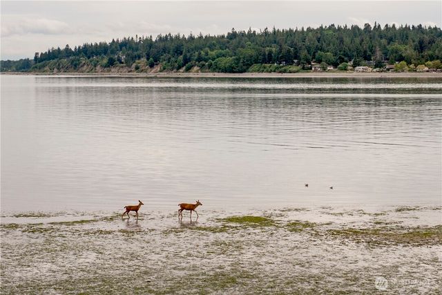 2351 N Nugent Road, Lummi Island, WA 98262