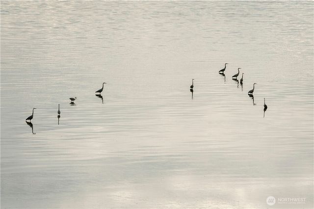 2351 N Nugent Road, Lummi Island, WA 98262