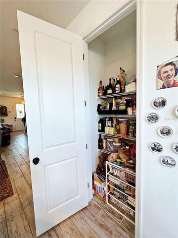 17320 SWEET MORO DRIVE, Winter Garden, FL 34787