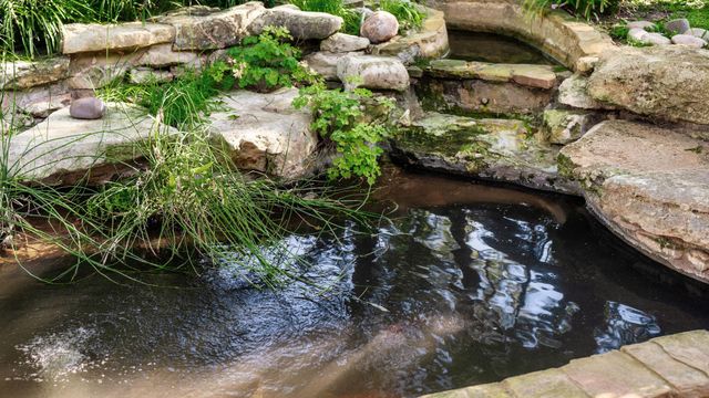 2036 Wimberly LN, Austin, TX 78735