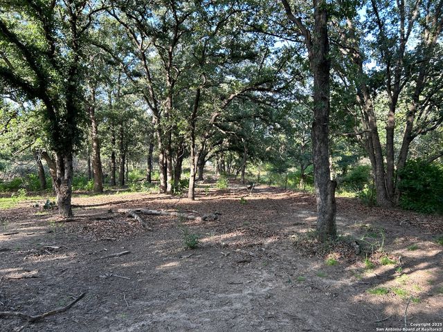 175 Smith, La Vernia, TX 78121