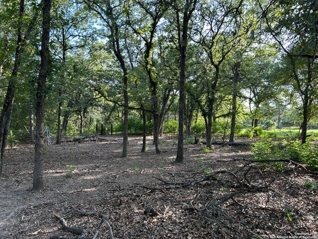 175 Smith, La Vernia, TX 78121