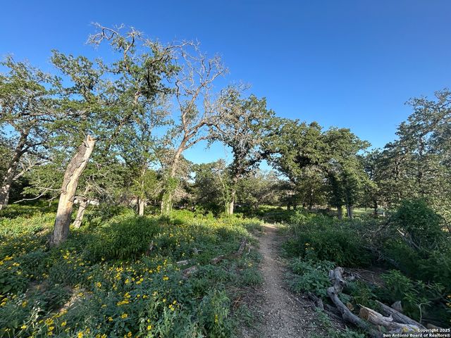 175 Smith, La Vernia, TX 78121