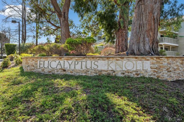 115 Eucalyptus Knoll St, Mill Valley, CA 94941