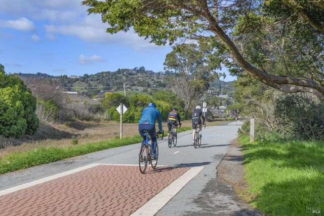 115 Eucalyptus Knoll St, Mill Valley, CA 94941