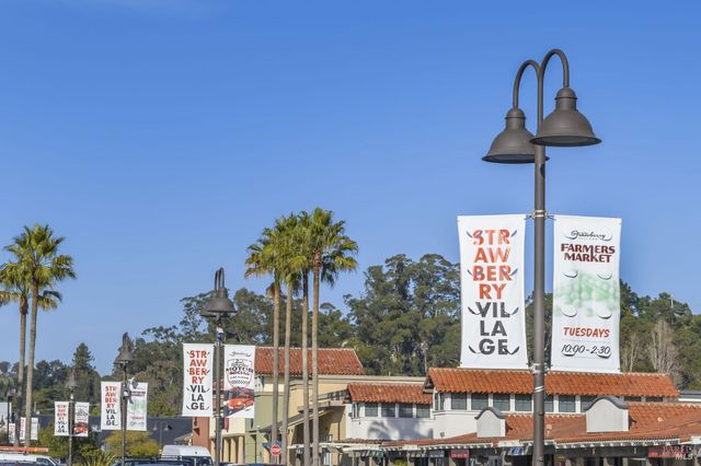 115 Eucalyptus Knoll St, Mill Valley, CA 94941