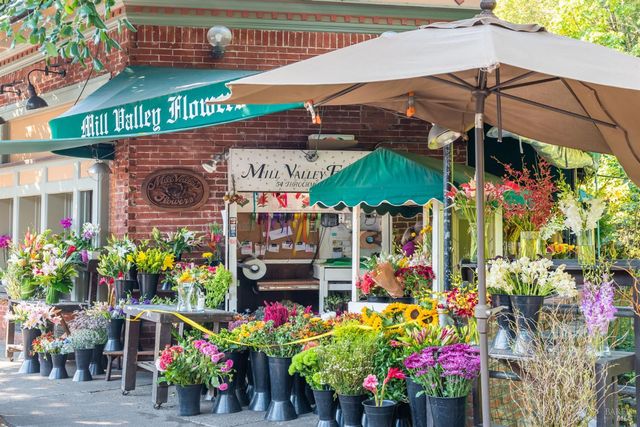 115 Eucalyptus Knoll St, Mill Valley, CA 94941