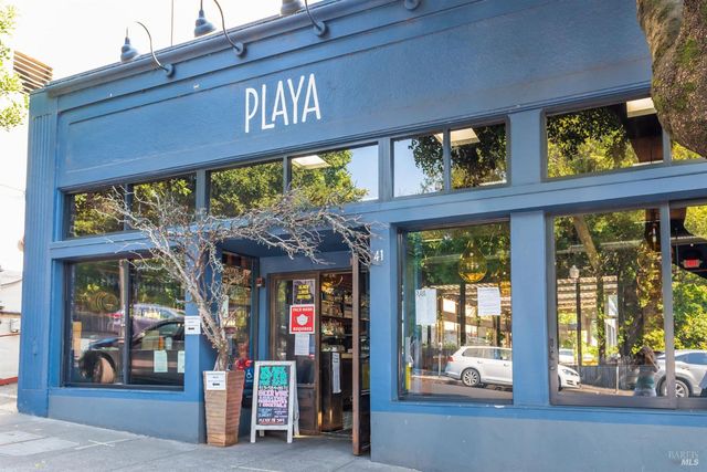 115 Eucalyptus Knoll St, Mill Valley, CA 94941