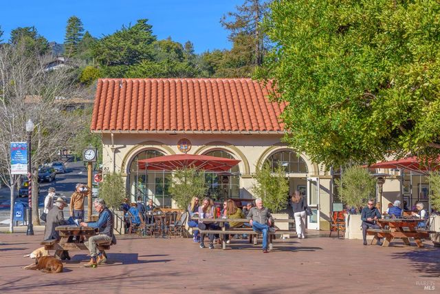 115 Eucalyptus Knoll St, Mill Valley, CA 94941