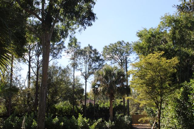 930 Rambling Drive Circle, Wellington, FL 33414