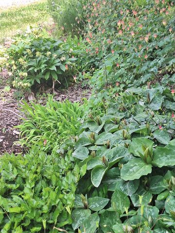 2016 Valley View Rd, Joelton, TN 37080