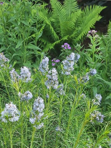 2016 Valley View Rd, Joelton, TN 37080