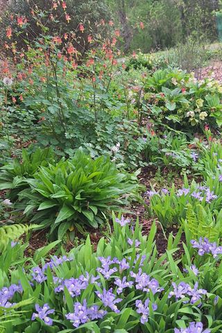 2016 Valley View Rd, Joelton, TN 37080