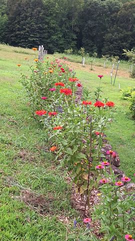 2016 Valley View Rd, Joelton, TN 37080